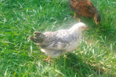 1_InShot_20250626_100610201