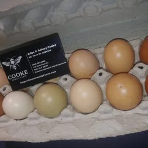 1 Dozen- Chicken Eggs Store Picture